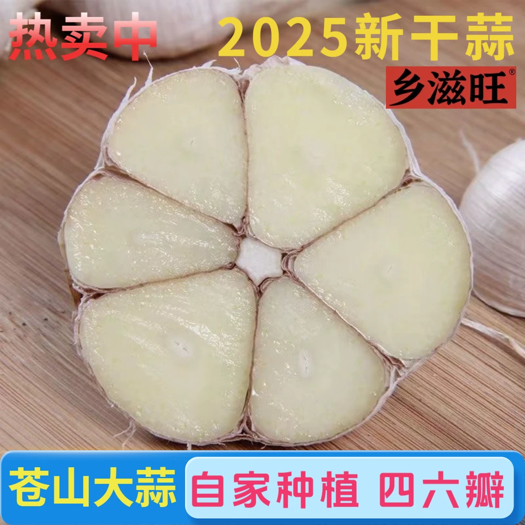 苍山四六瓣白皮老品种大蒜粘辣鲜香可做蒜种老式种植新干蒜精品