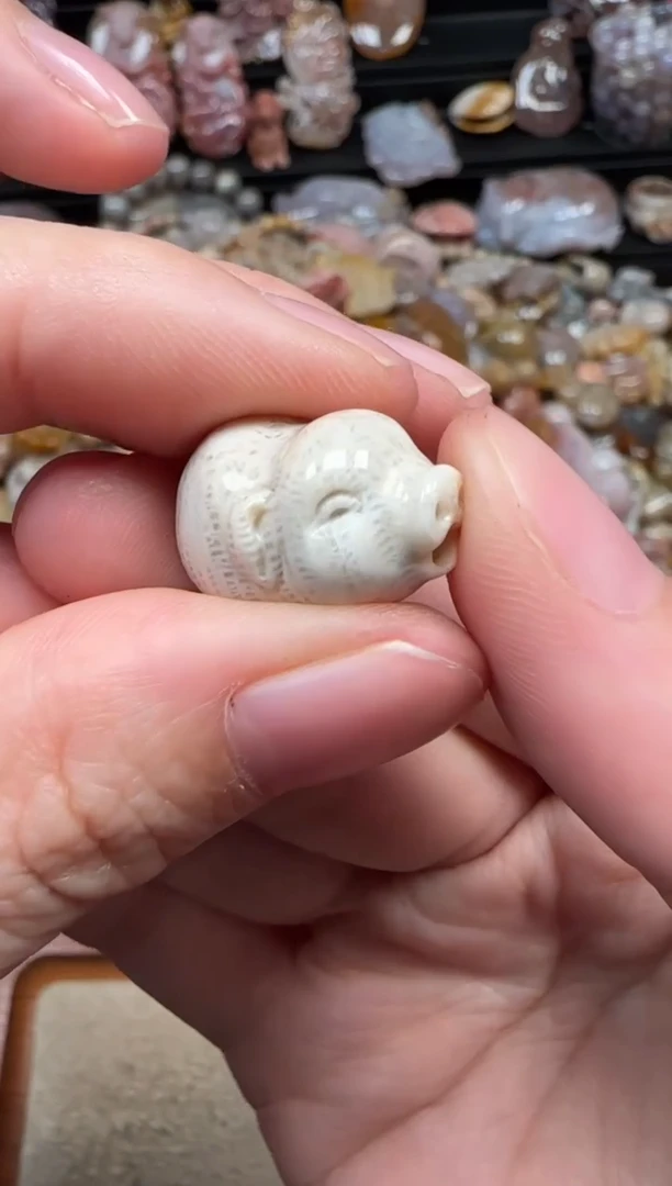 颈饰未镶嵌硅化珊瑚（珊瑚玉）346