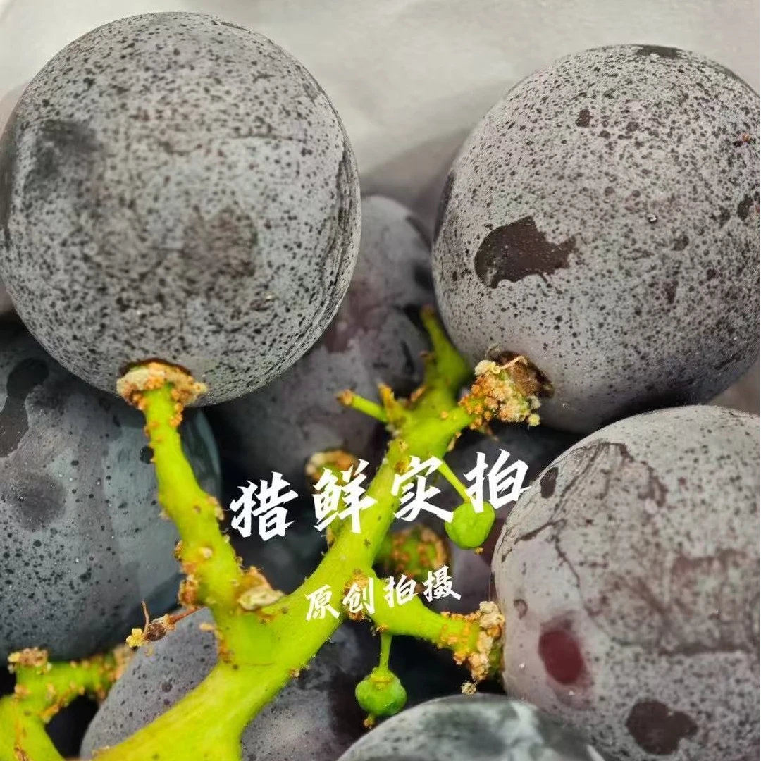 巨峰葡萄两斤葡萄同城送