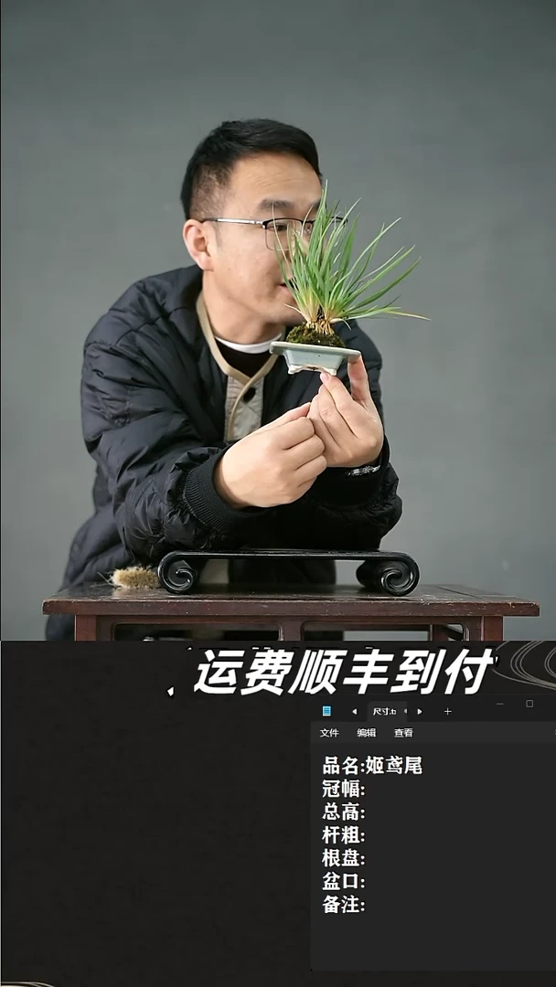 【闪购商品】21 姬鸢尾