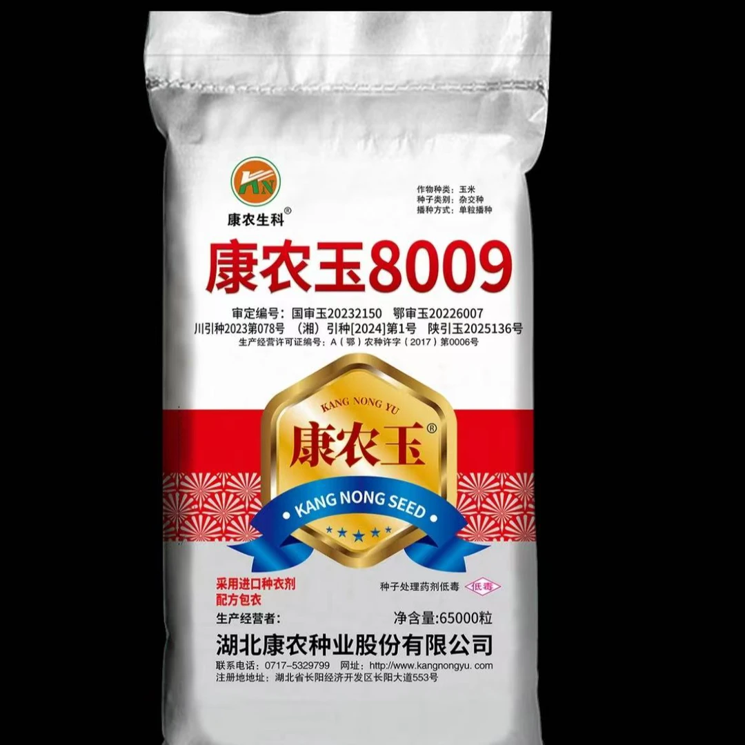 康农玉8009高产玉米种子  优质种子耐旱种业品种优质