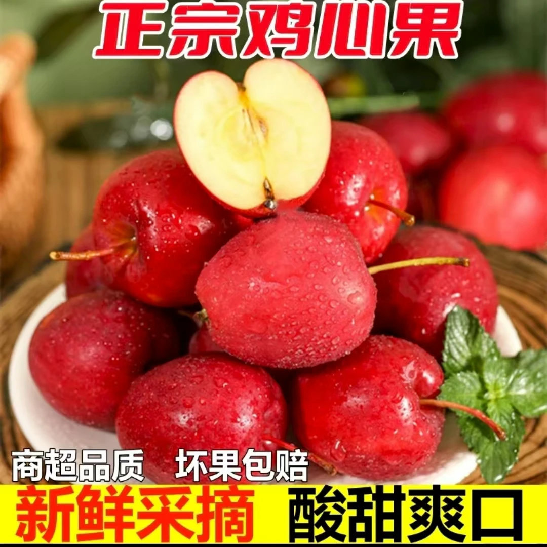 东北鸡心果锦绣海棠香妃海棠现摘现发酸甜爽口1斤/3斤/5斤包邮