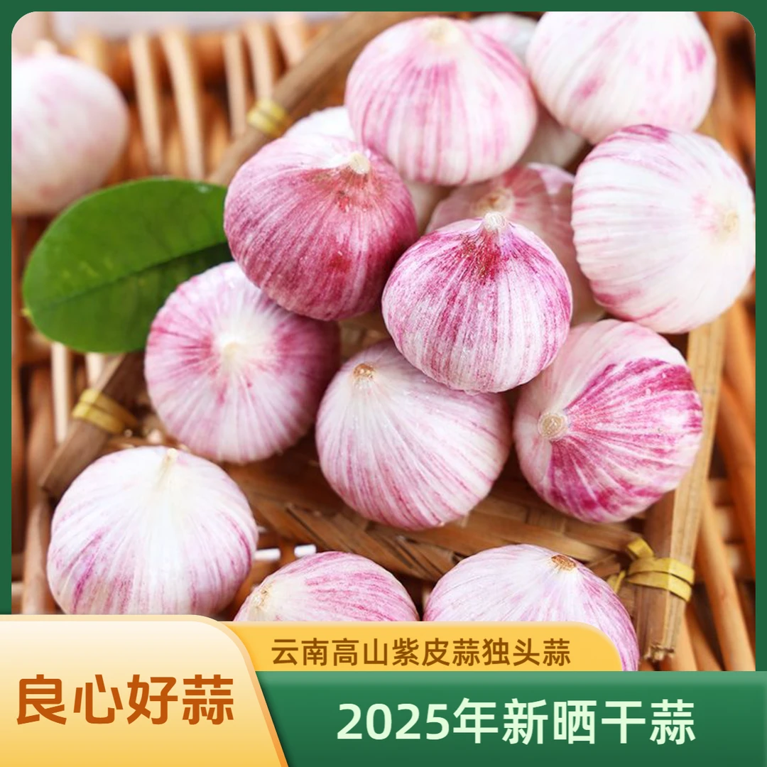 【2025年新蒜】紫皮独头蒜新鲜现挖大蒜头辛辣饱满香辣脆爽1/3/5斤