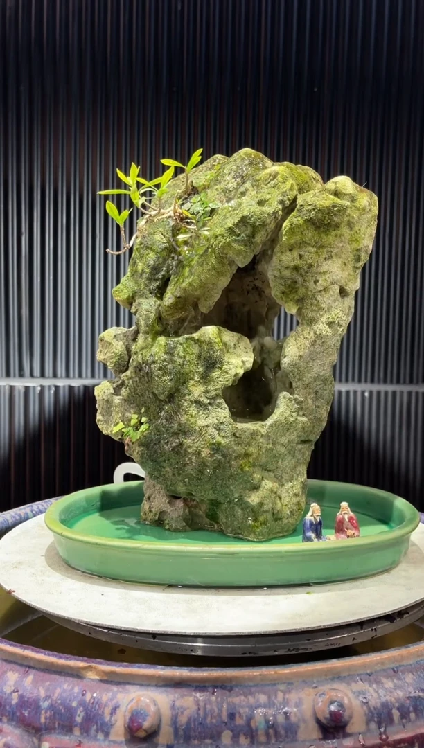 造型吴定石一物一拍专属