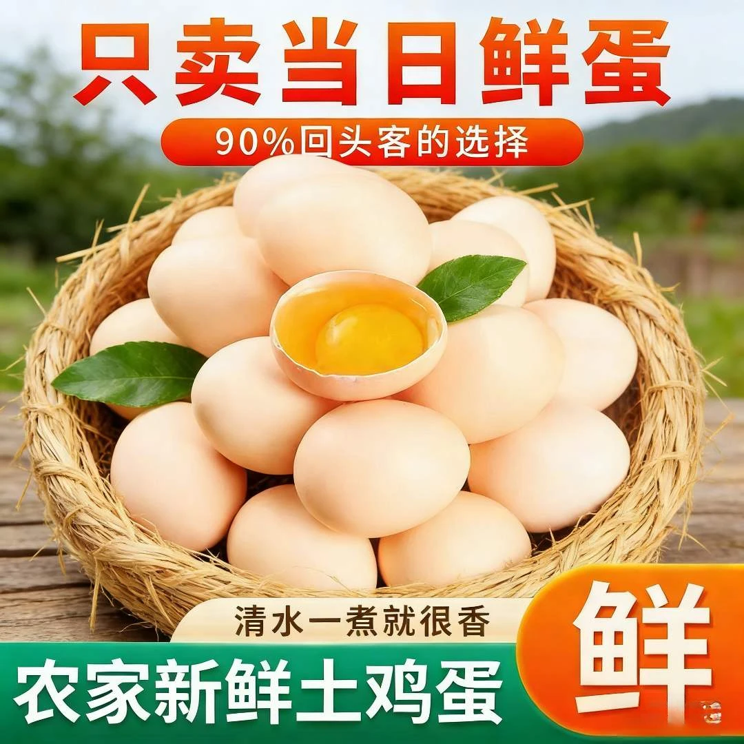 DHA营养鲜鸡蛋农家散养鸡蛋山林散养现捡现发50枚特大号鸡蛋
