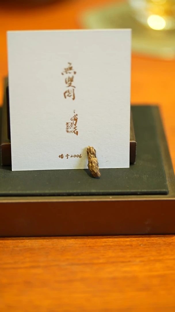 沉香吊坠海南沉水香0.22g
