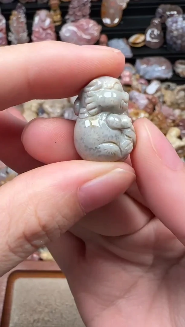 颈饰未镶嵌硅化珊瑚（珊瑚玉）007