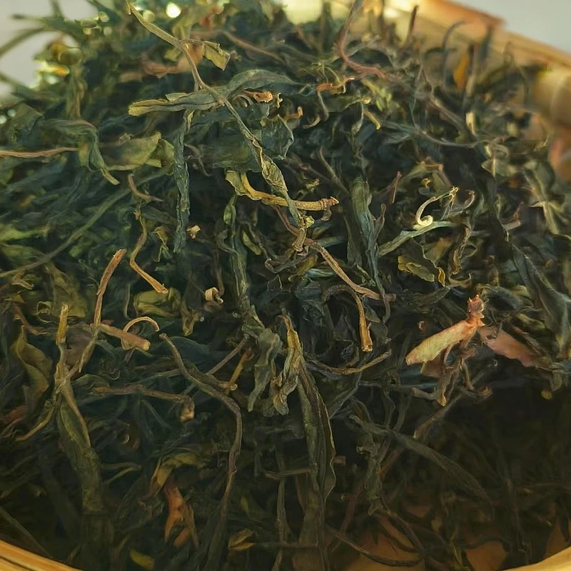 云南普洱茶中华木兰过度型第一代单株