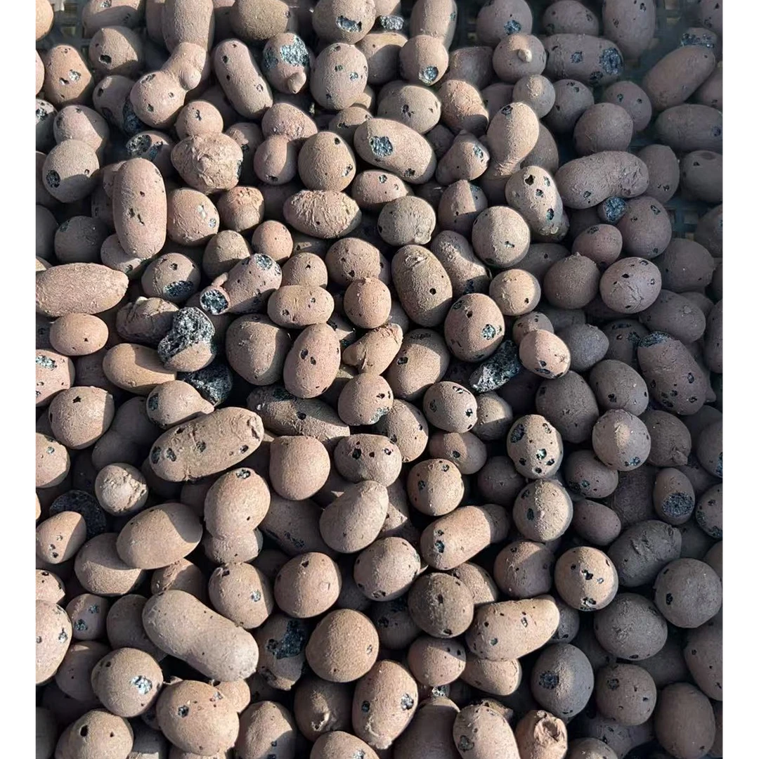 陶粒垫底沥水透气　多肉植物满两单包邮