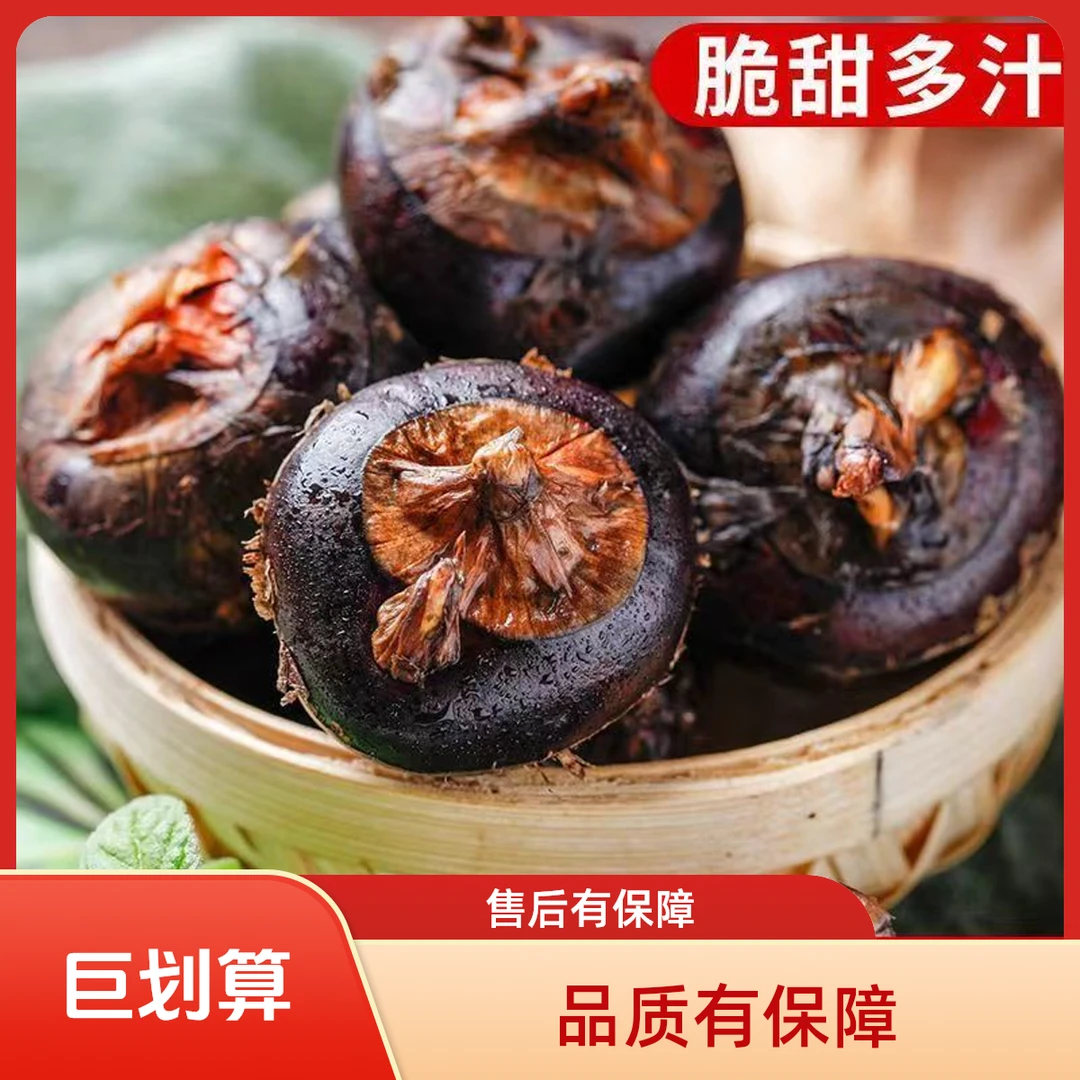 [到手5斤]新鲜现挖马蹄果不带泥荸荠清甜多汁脆爽可口的应季水果