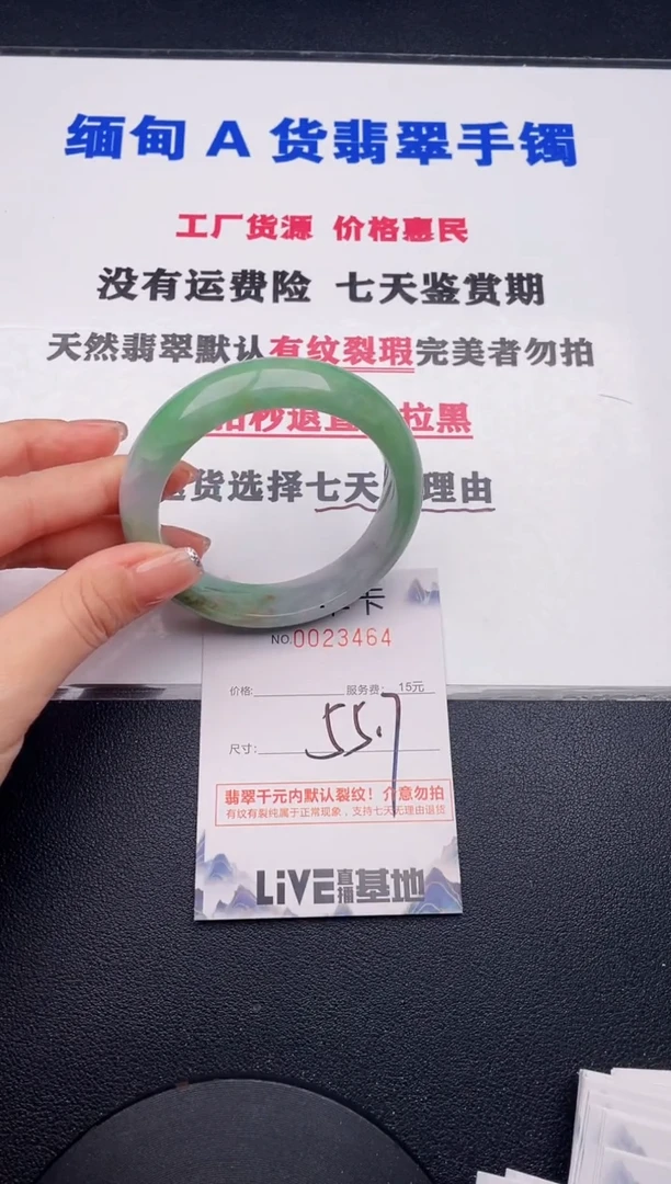 未镶嵌手镯翡翠64