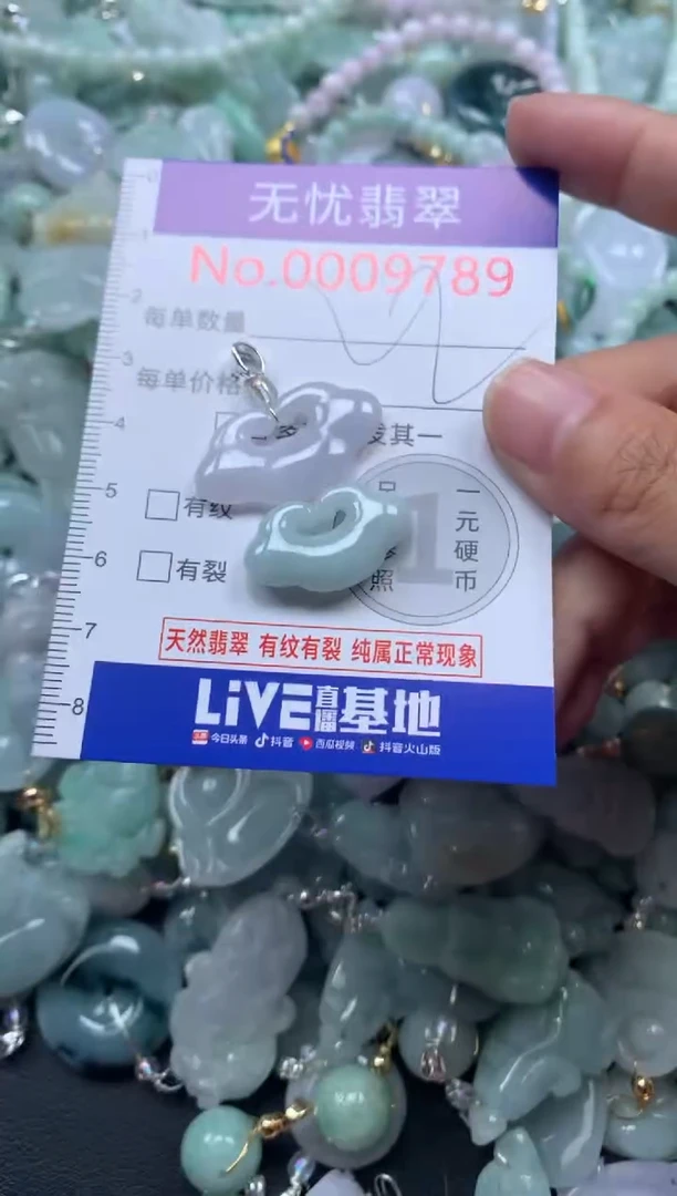 颈饰未镶嵌翡翠9789