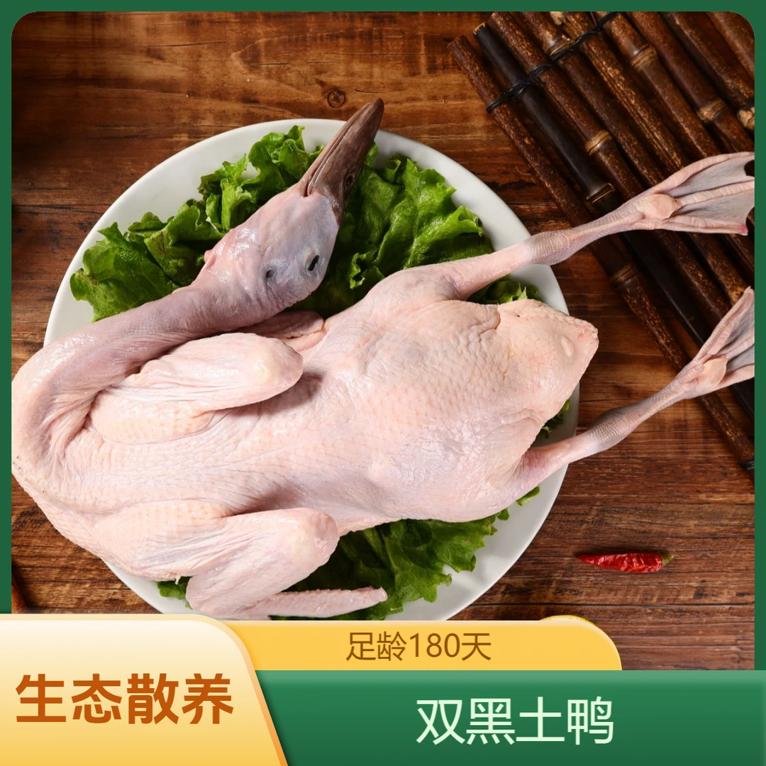 【双黑土鸭】生态放养180天老鸭 富含氨基酸和微量元素 不油不腥