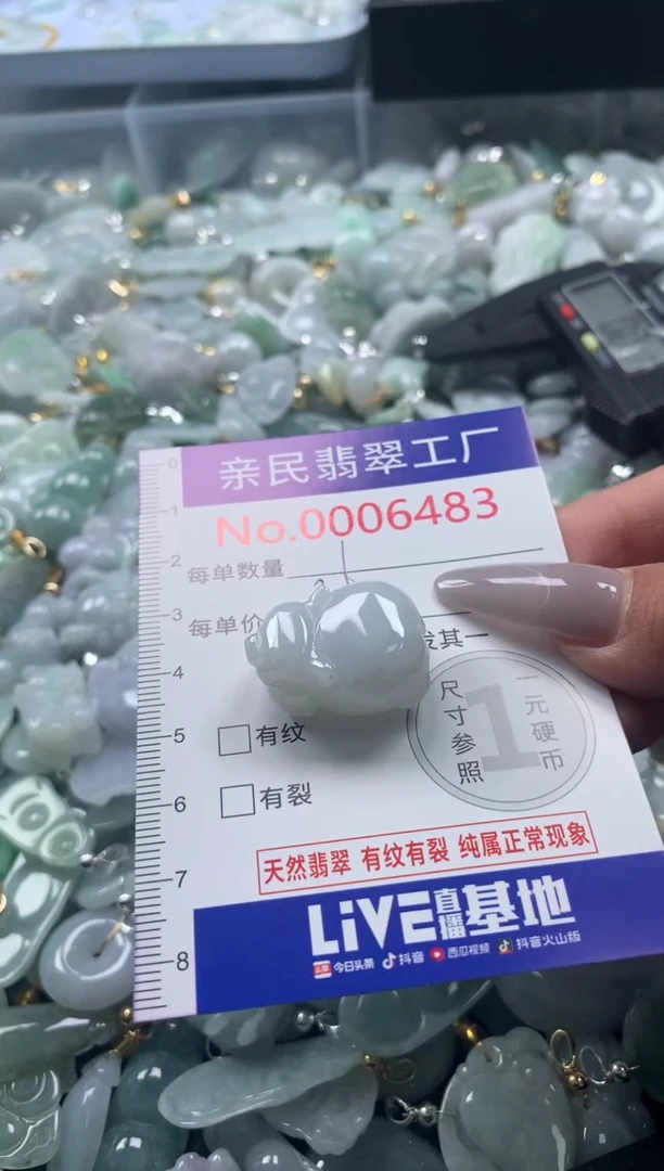 颈饰未镶嵌翡翠6483