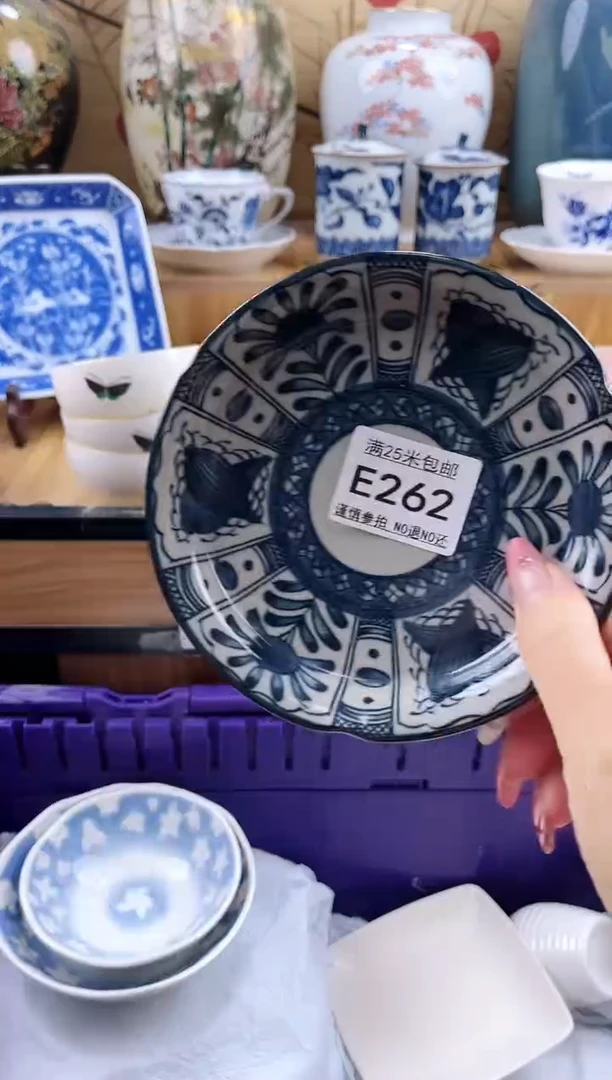 ✨*✨==============e262