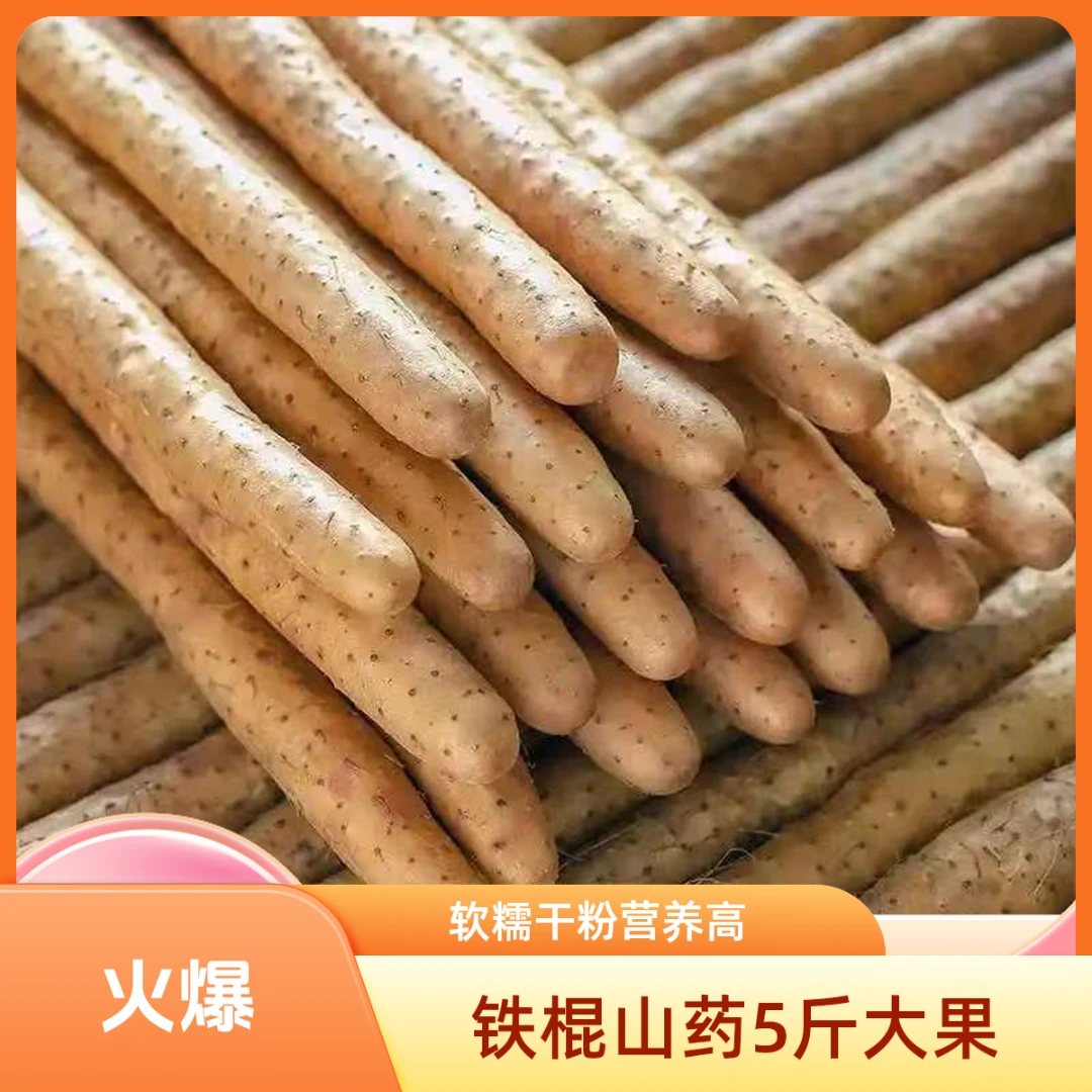 【铁棍山药】净重5斤大果中断果软糯干粉营养价值高新鲜铁棍山药