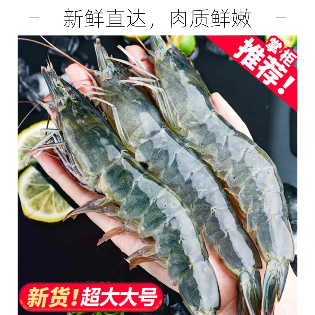 15 - 18厘米左右大大号活虾-故渊生态渔业