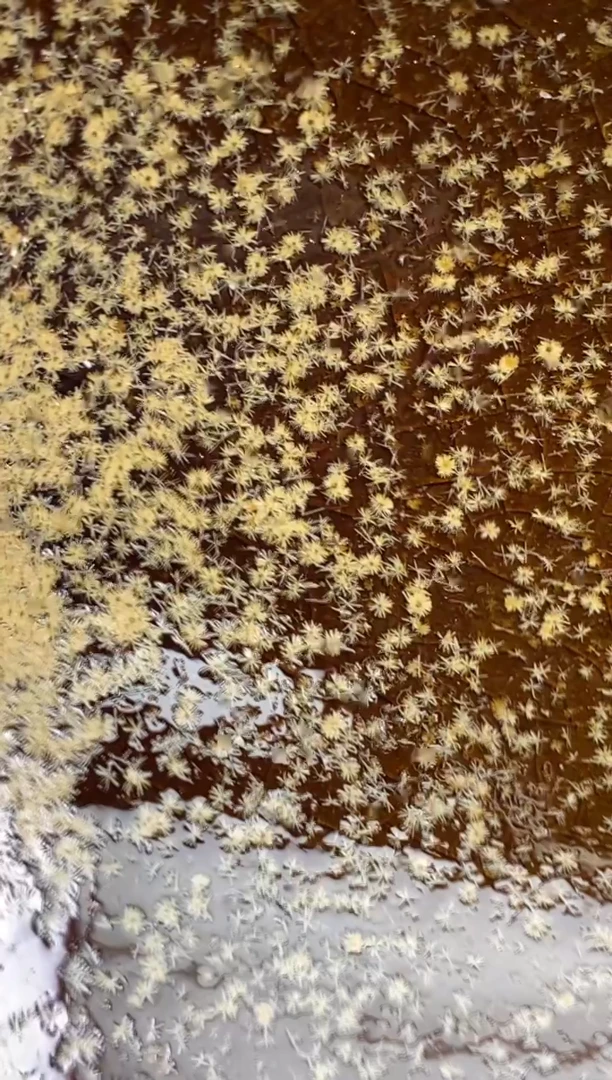 【闪购商品】茶盏306建盏建盏建盏建盏微瑕