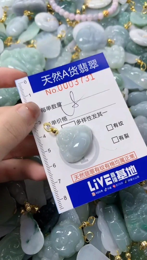颈饰未镶嵌翡翠天然A货翡翠