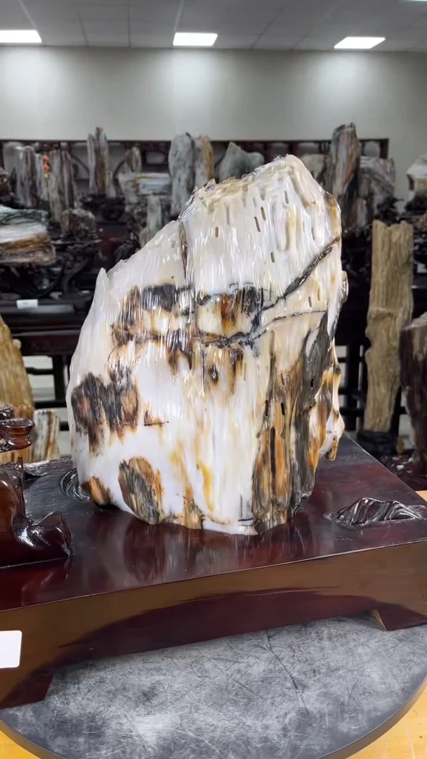 【闪购商品】硅化玉珠宝奇石未镶嵌1