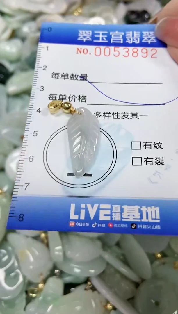 【闪购商品】翡翠颈饰未镶嵌闪购0053892