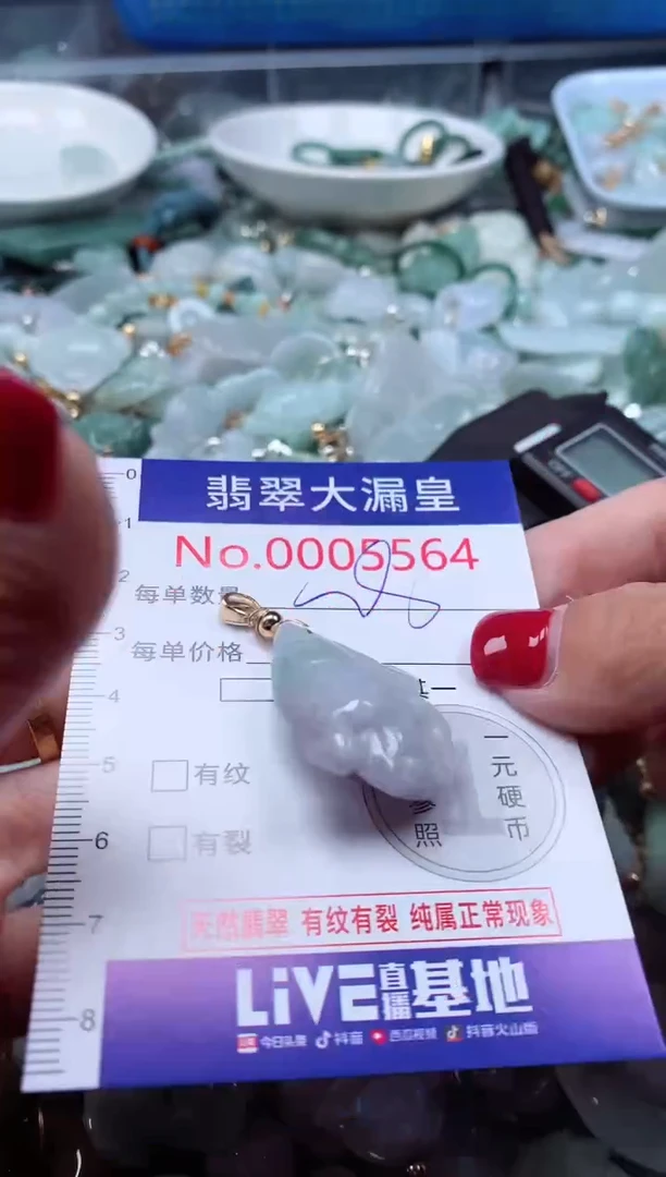 颈饰未镶嵌翡翠5564