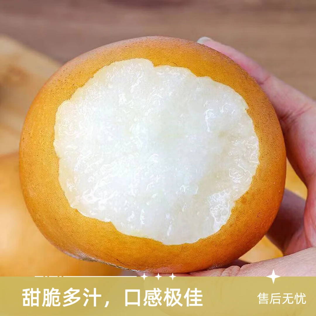 山东秋月梨10斤装山东省