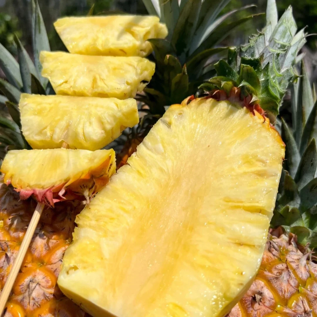 Kingpro/金果王凤梨一个【3斤】