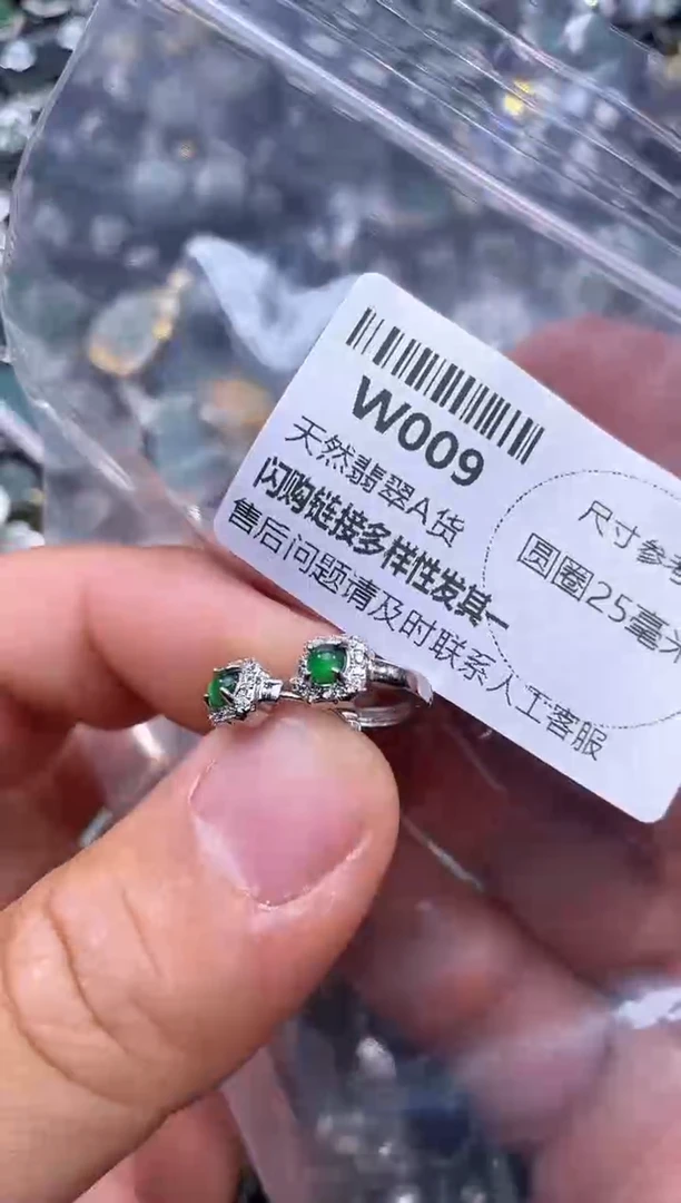 【闪购商品】翡翠颈饰未镶嵌W009耳扣