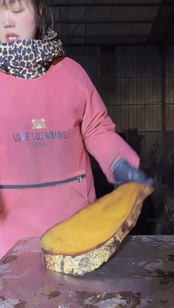 【闪购商品】木50金丝楠小叶桢楠金丝楠