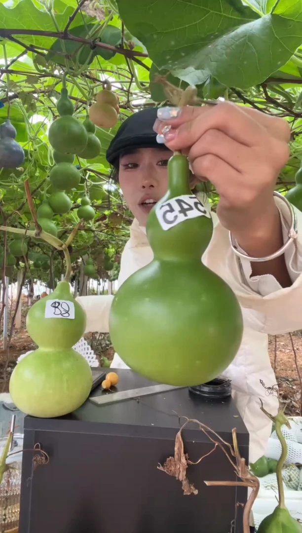 我****2545天然葫芦摆件 一物一拍龙头不保售后