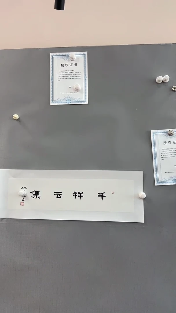 【闪购商品】书法雅艺典藏文化书法