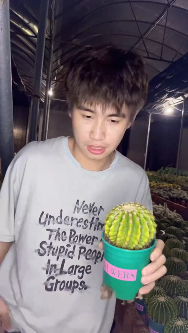 【闪购商品】裸 虎 6-8cm