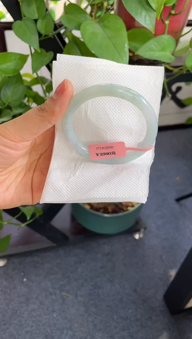 未镶嵌手镯翡翠9****儿507-56.3