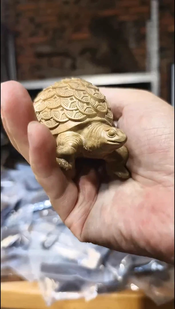 金丝楠      金钱龟