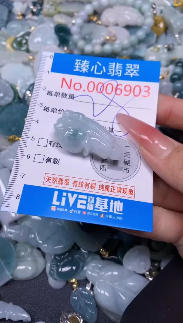 【闪购商品】翡翠颈饰未镶嵌含绳0006903