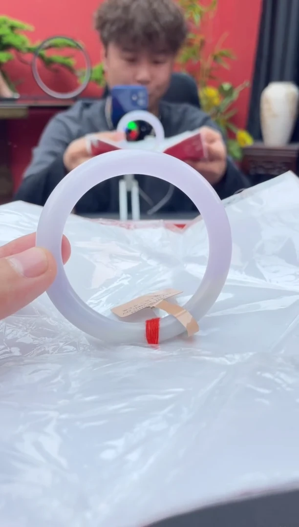 未镶嵌手镯翡翠4