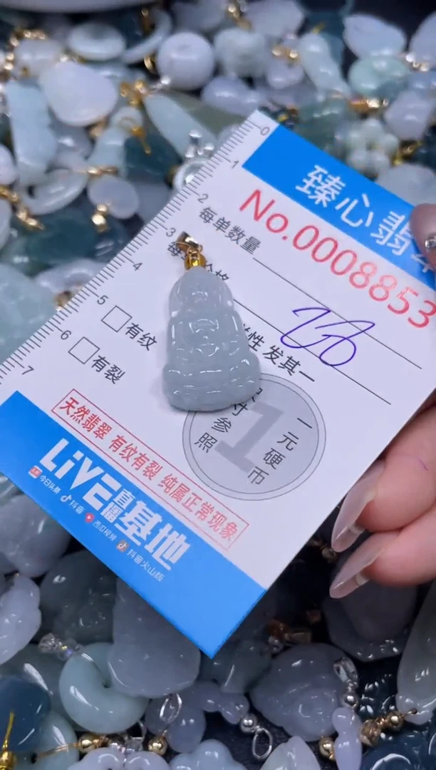 颈饰未镶嵌翡翠8853