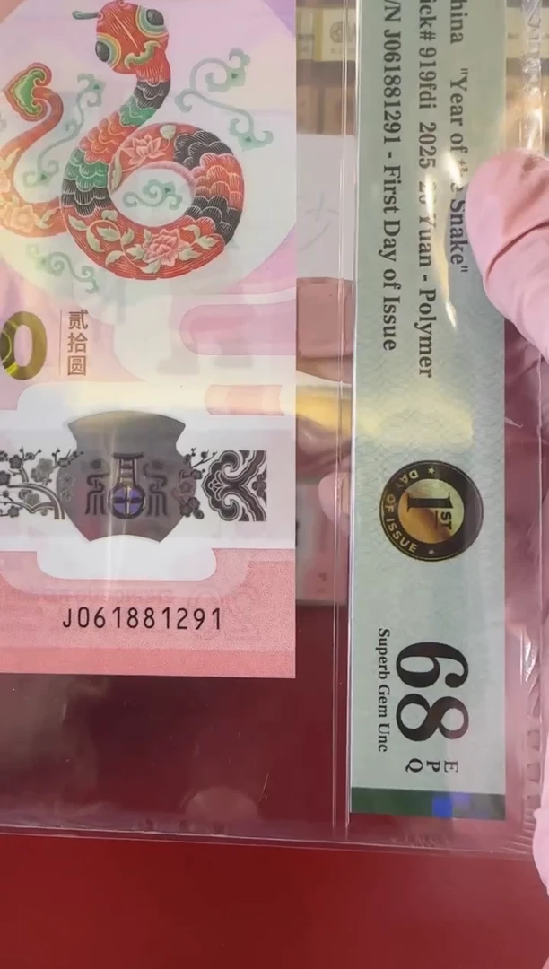 【闪购商品】塑料25蛇钞061881291单张裸