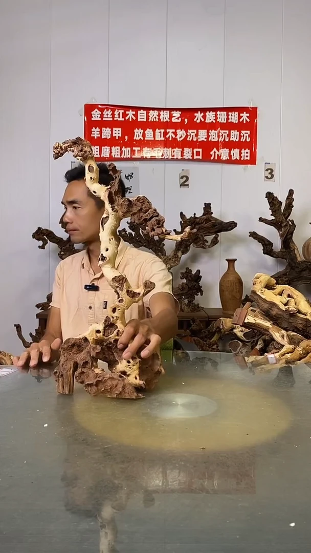 香榧木爱***渔金丝红木   羊蹄甲