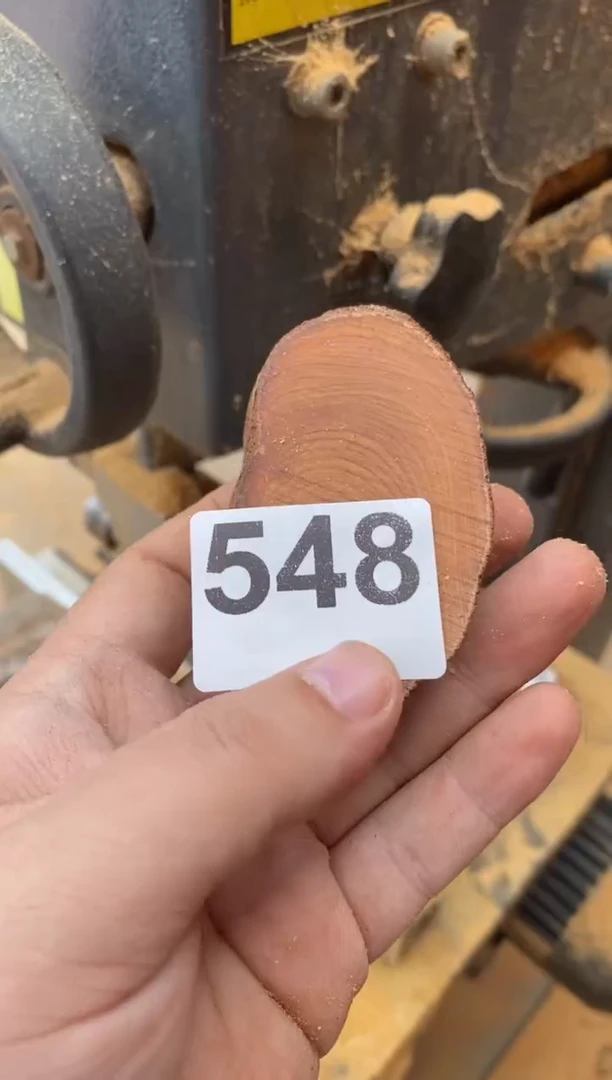 柏木（崖柏）太行陈化崖柏切片一块（津诚林）548