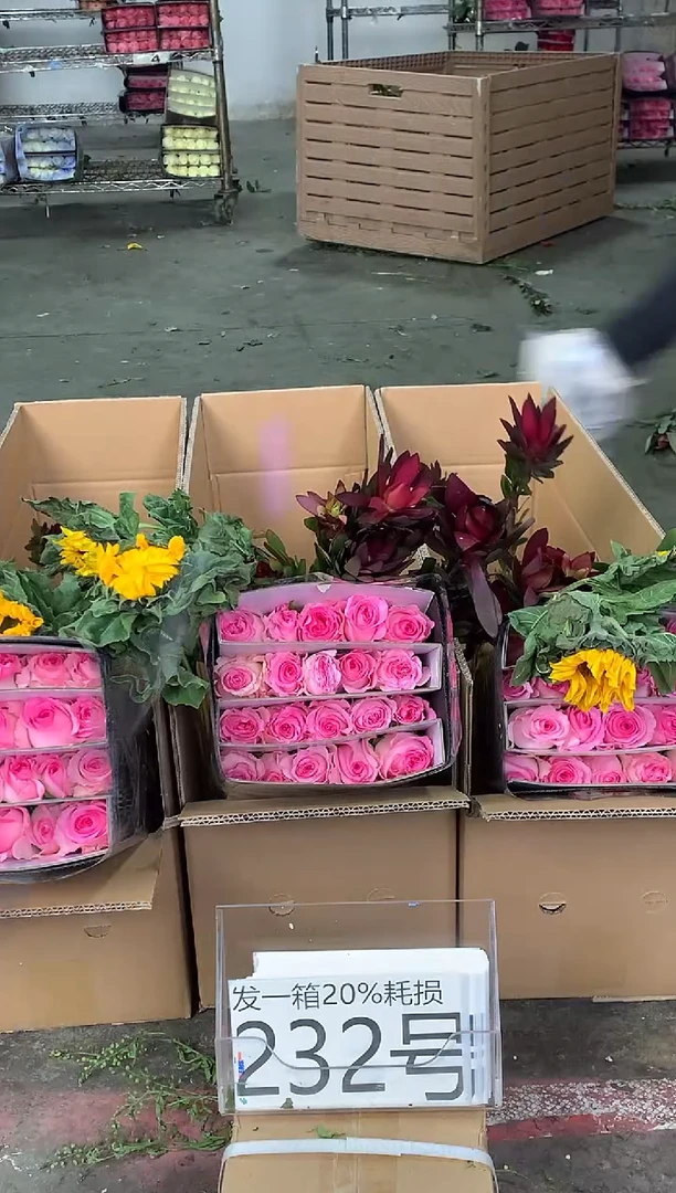 232号♥中通含20%耗损发一箱