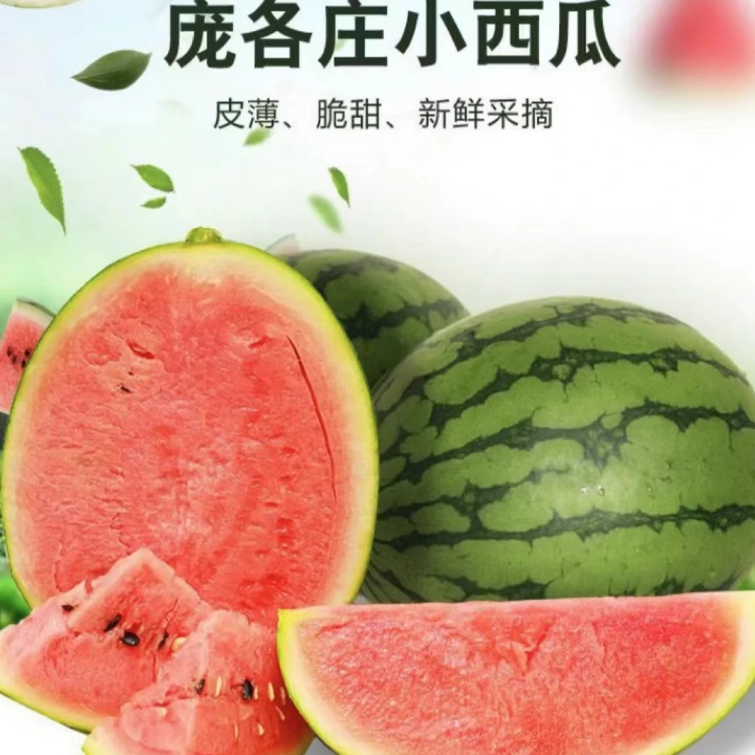 庞各庄小西瓜 现摘现发 顺丰包邮 坏果包赔 单个约2-3.5斤新鲜北京市