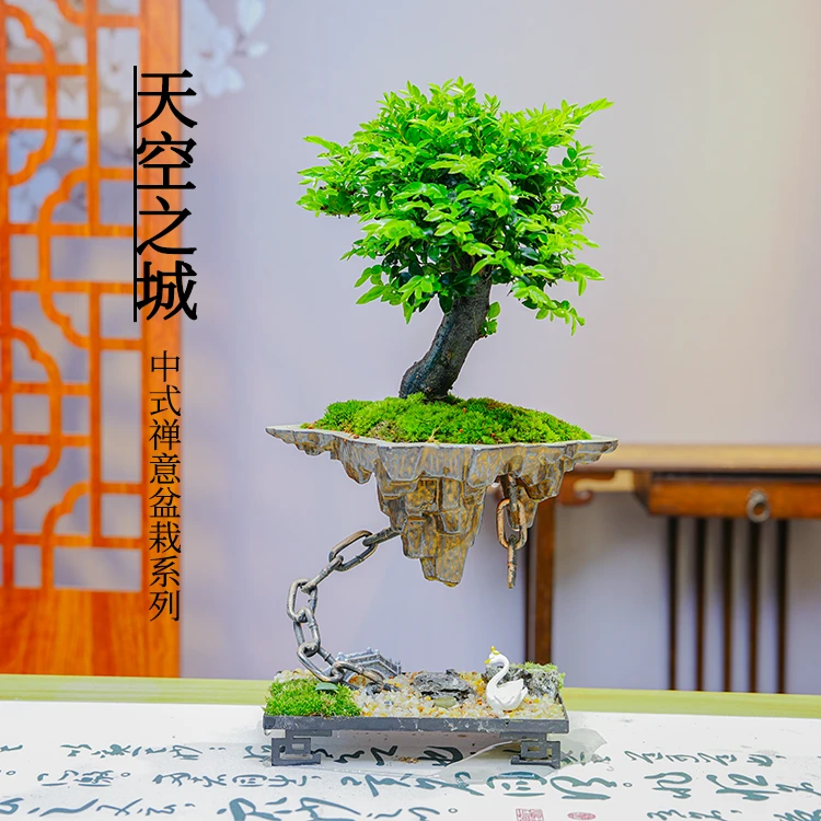 【天空之城】老桩檀木高端盆景四季好养书桌茶桌办公桌绿植花卉盆栽