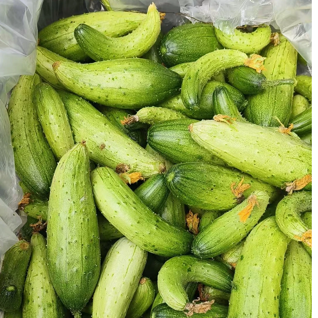 小旱黄瓜妞5斤包邮