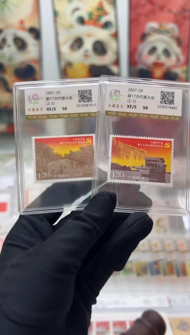 2007-29 第17次代表大会