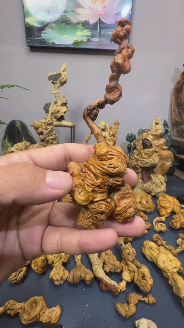 香榧木1**8jkjkkjkjkjkj