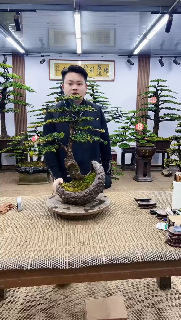 【闪购商品】000000000