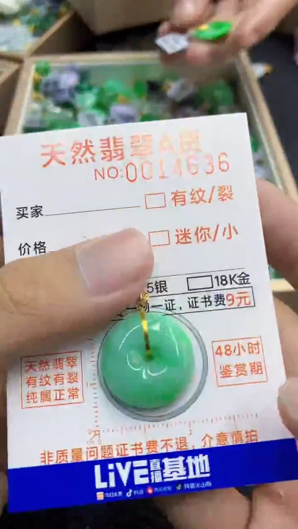 翡翠18K金镶嵌颈饰             1