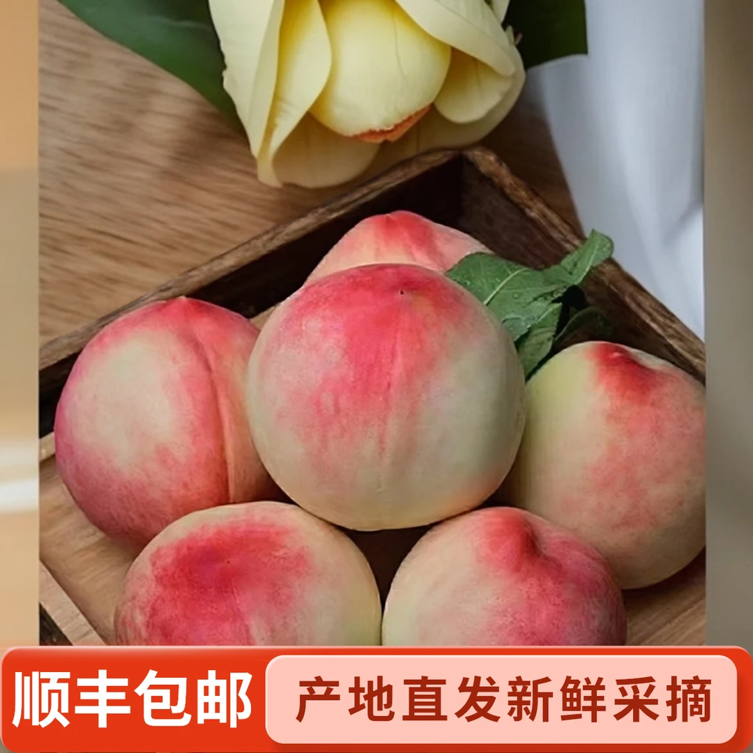 【省内专拍】北京七号秦安水蜜桃产地直发新鲜采摘京东包邮
